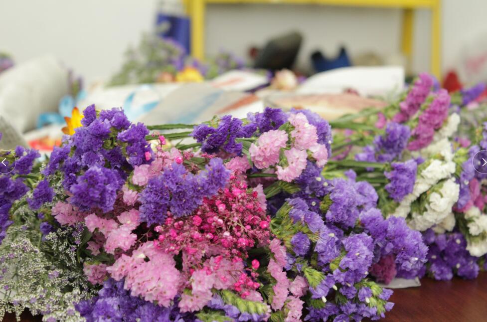 三八女神節(jié)，擎川給女神們送上驚喜！