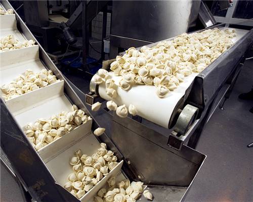 食品行業(yè)為什么選擇PU聚氨酯食品輸送帶？