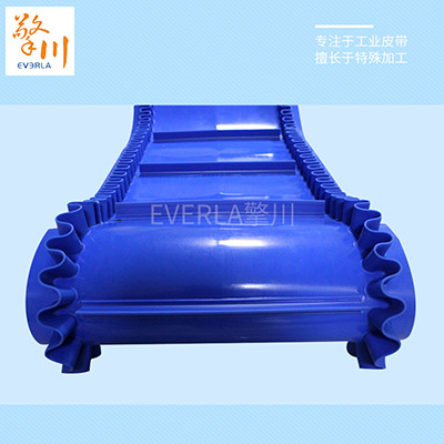 特殊輸送帶 特殊輸送帶