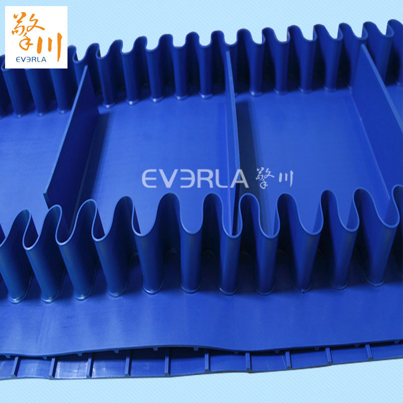 什么是食品輸送帶設(shè)備拖鏈？