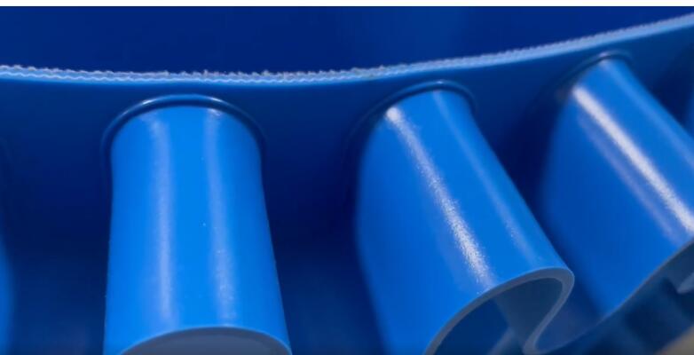 食品輸送帶 食品輸送帶